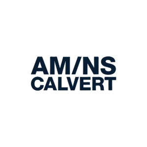 AMNS logo